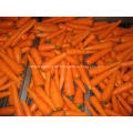 Fresh carrot vegetables for sale